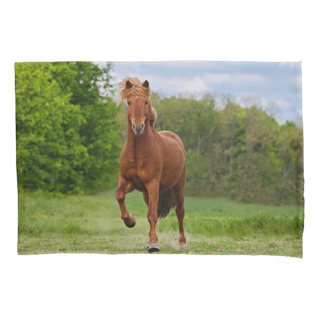 Icelandic Pony at a Tölt Funny Photo Horse Lovers Pillowcase (Front)