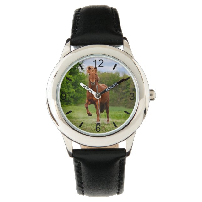 Icelandic Pony Tölt Funny Horse Lovers  dial-plate Watch (Front)