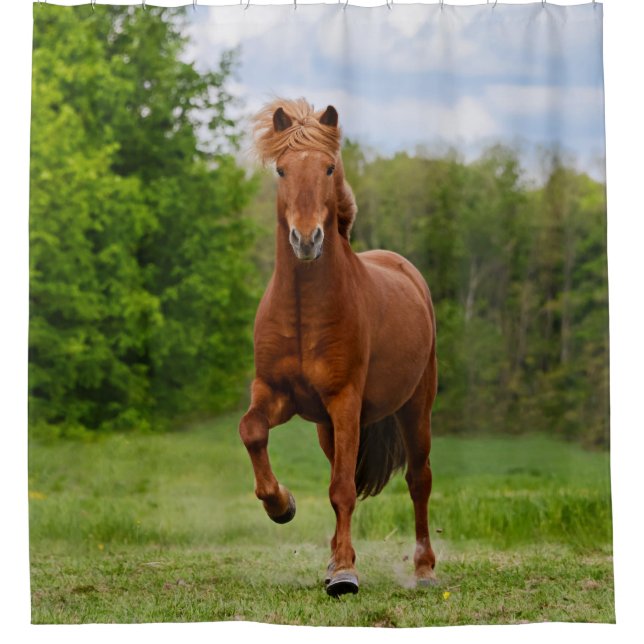 Icelandic Pony Tölt Funny Photo Horse Lovers - Tub (Front)