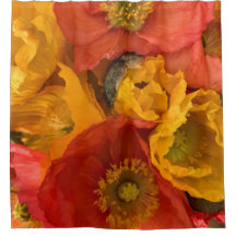 Icelandic Poppies