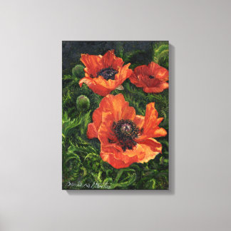 “Icelandic Poppies” Canvas Print