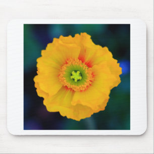 Icelandic Poppy Mouse Pad