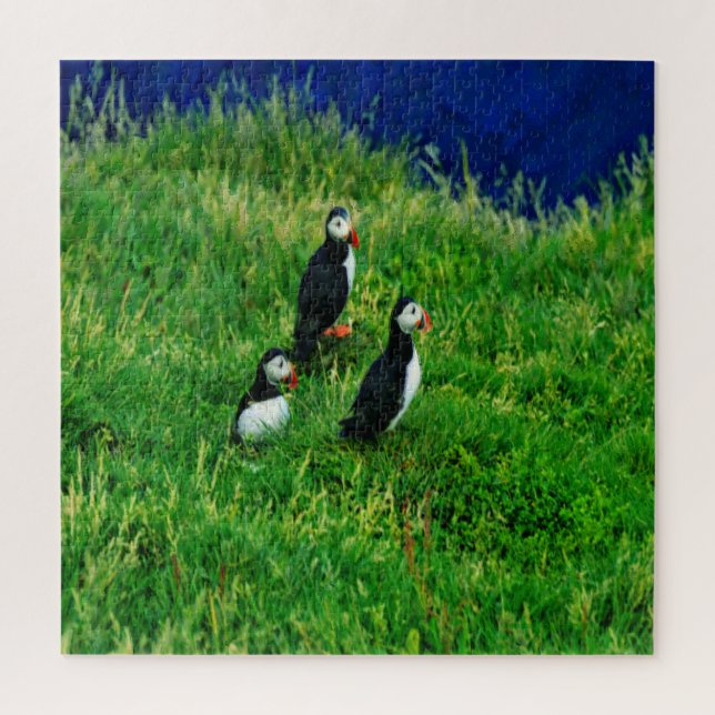 Icelandic Puffins Jigsaw Puzzle (Vertical)
