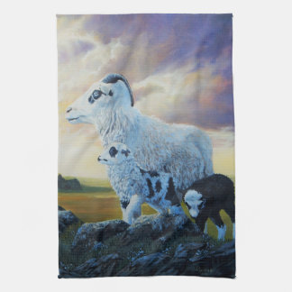 Icelandic sheep, ewe and lambs, sunrise sky kitchen towel