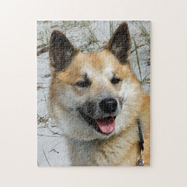 Icelandic Sheepdog 002 Jigsaw Puzzle (Vertical)