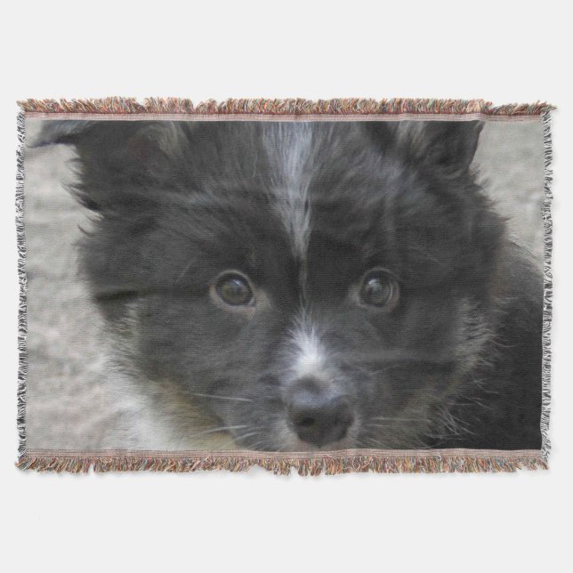 Icelandic Sheepdog 2014-0802 Throw Blanket (Front)