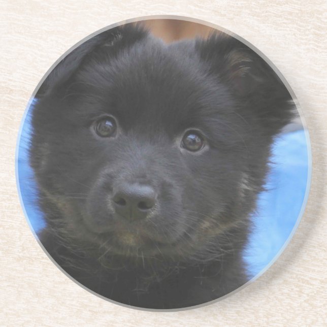 Icelandic Sheepdog 2014-0805 Coaster (Front)