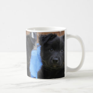 Icelandic Sheepdog 2014-0805 Coffee Mug