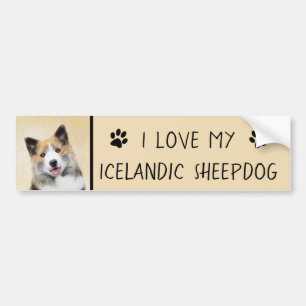 Icelandic Sheepdog Painting - Original Dog Art Bumper Sticker