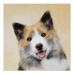 Icelandic Sheepdog Painting - Original Dog Art Poster