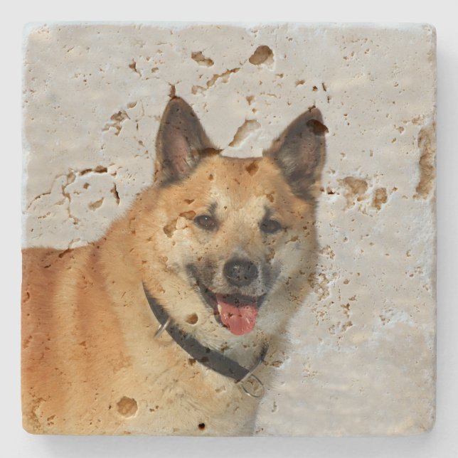 IcelandicSheepdog20150904 Stone Coaster (Front)