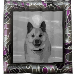 IcelandicSheepdog20151203