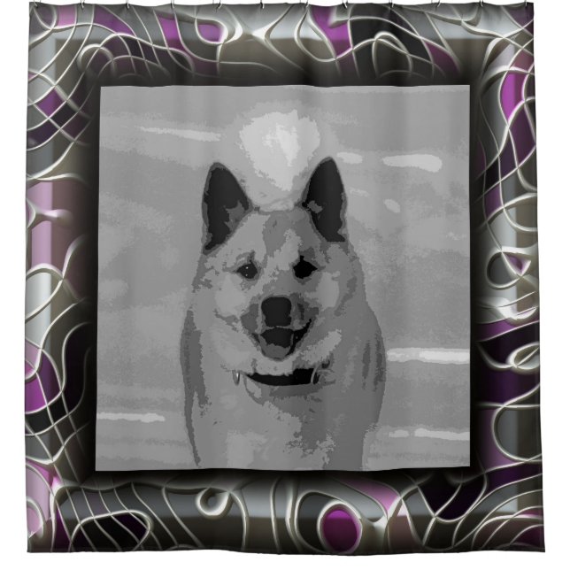 IcelandicSheepdog20151203 (Front)