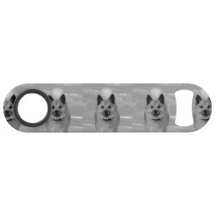 IcelandicSheepdog20151203 Bar Key