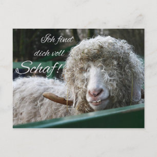 Ich find's dich voll Schaf! Postcard