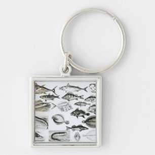 Ichthyology Osseous Fishes Keychain