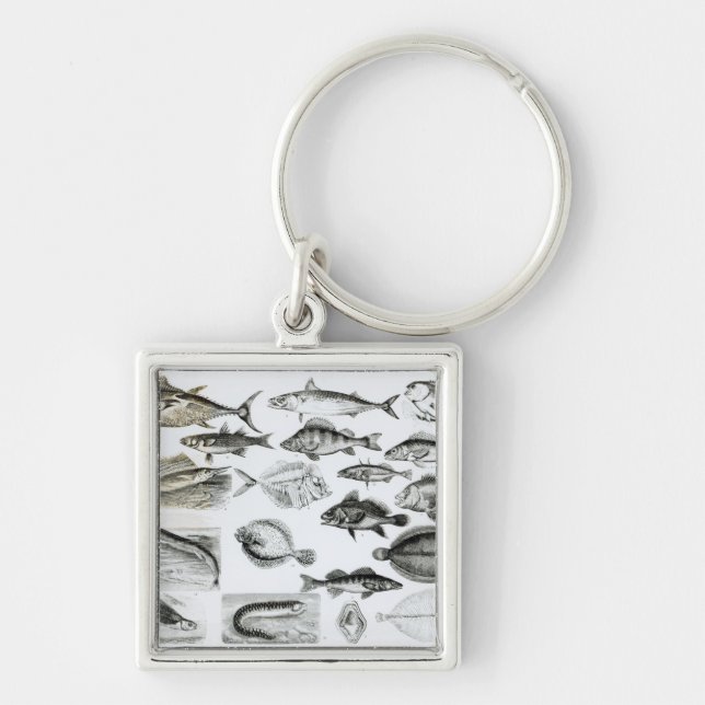 Ichthyology Osseous Fishes Keychain (Front)