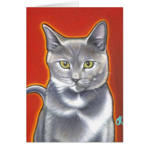 Ici Kitty Kitty !