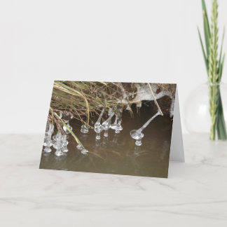 Icicles Holiday Card