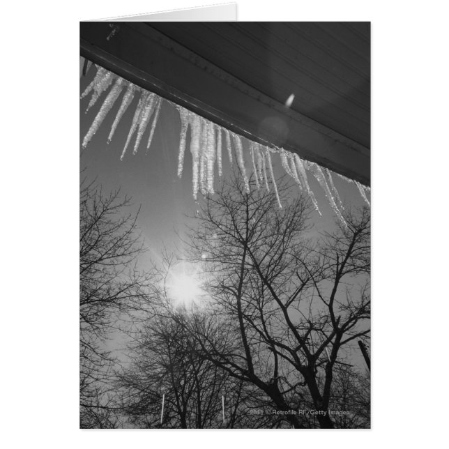 Icicles on roof and sun (Front)