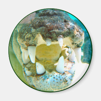 Icône Australe - Big Croc Terry - Magnet