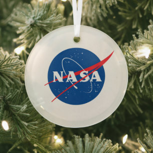 Iconic NASA Glass Holiday Ornament (Circle)