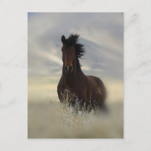 Iconic Postcard