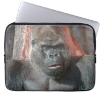 Iconic Silverback - Oumbi Unveiled