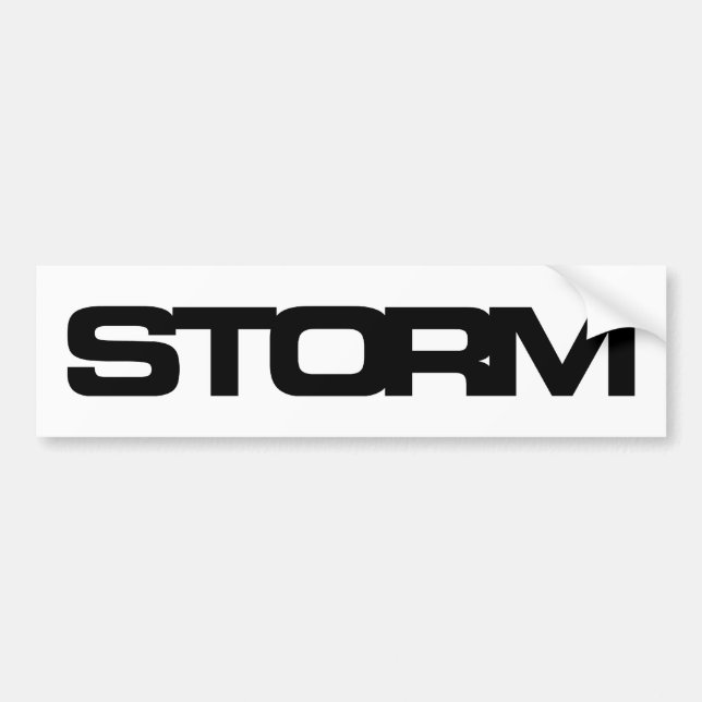 Iconic Weather-proof Vinyl Sticker (Front)