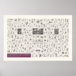 Iconography - Botany Poster