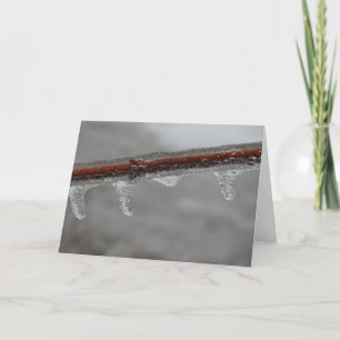 Icy Branch Card