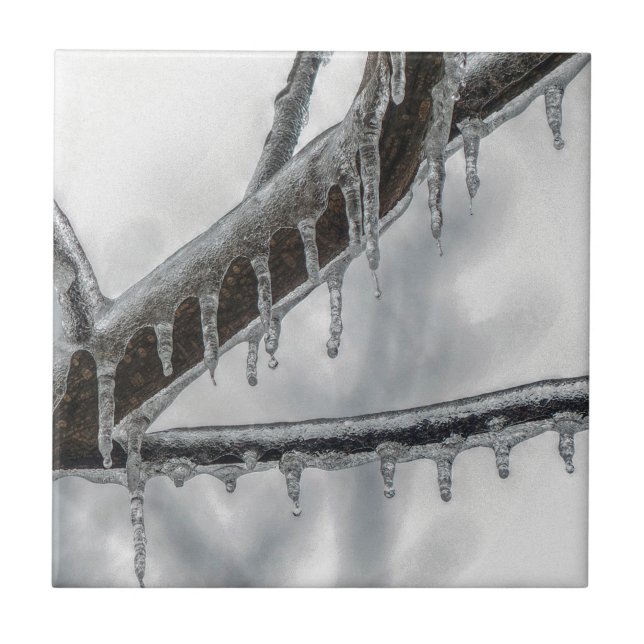 Icy Branch Tile (Front)
