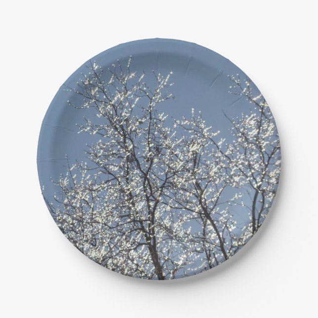 Icy Branches in Winter Blue Sky Paper Plate (Front)