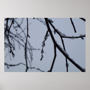 Icy Branches Winter Nature Photography Poster