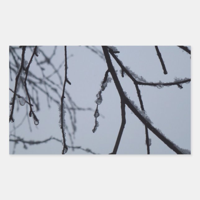 Icy Branches Winter Nature Photography Sticker (Front)