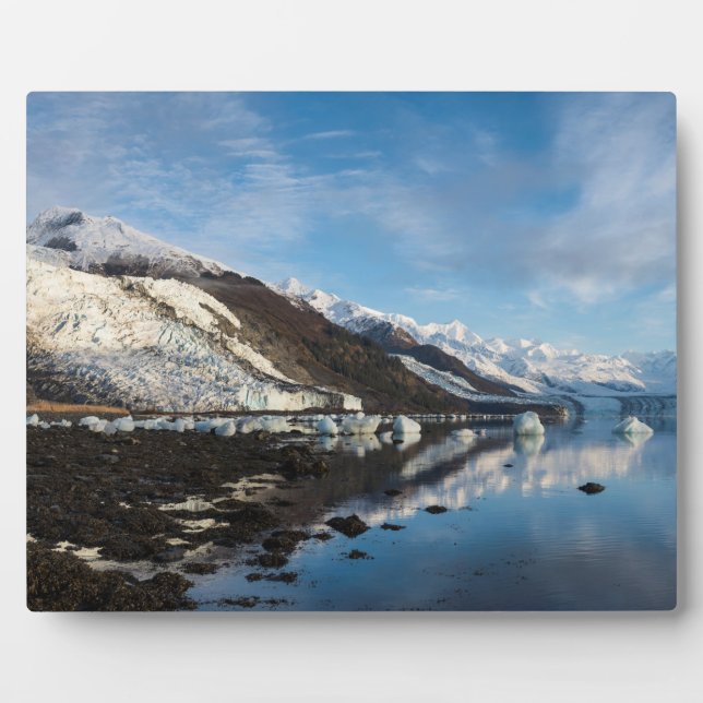 Icy College Fjord Plaque (Front)