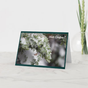 Icy Evergreen Christmas Card