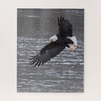 Icy Landing: Bald Eagle Puzzle