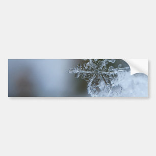 Icy Snowflake Bumper Sticker