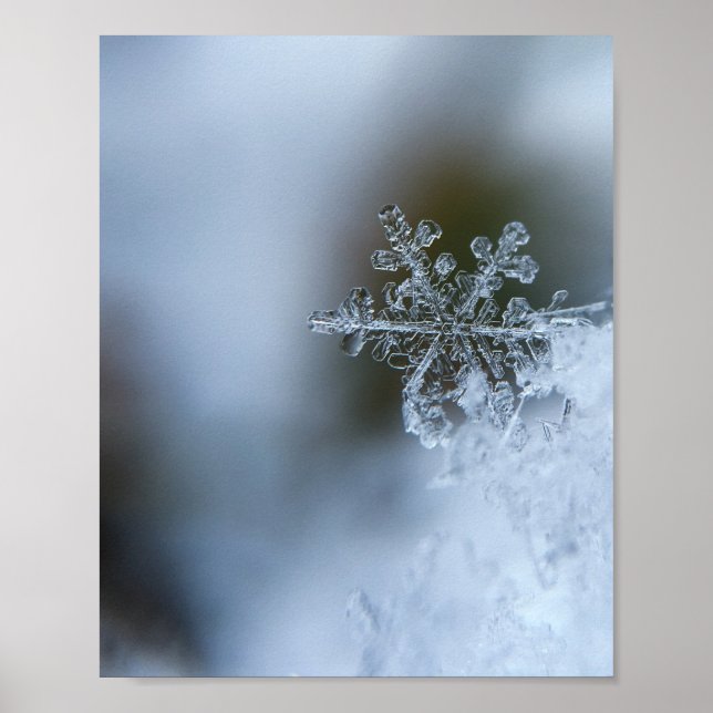 Icy Snowflake Poster (Front)