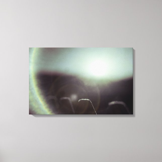 Icy Sun by Alexandra Cook Canvas Print (Front)