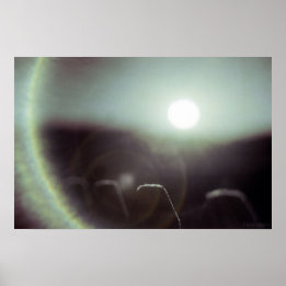 Icy Sun by Alexandra Cook Poster