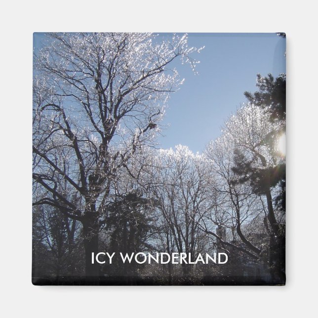 ICY WONDERLAND 4 seasons magnet (Front)
