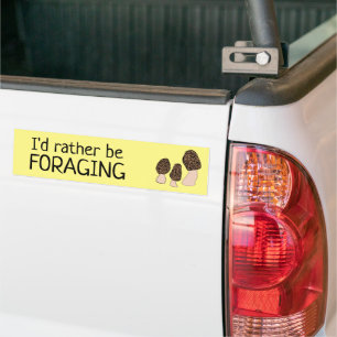 I'd Rather be Foraging Morels Mushrooms Fungi Bumper Sticker