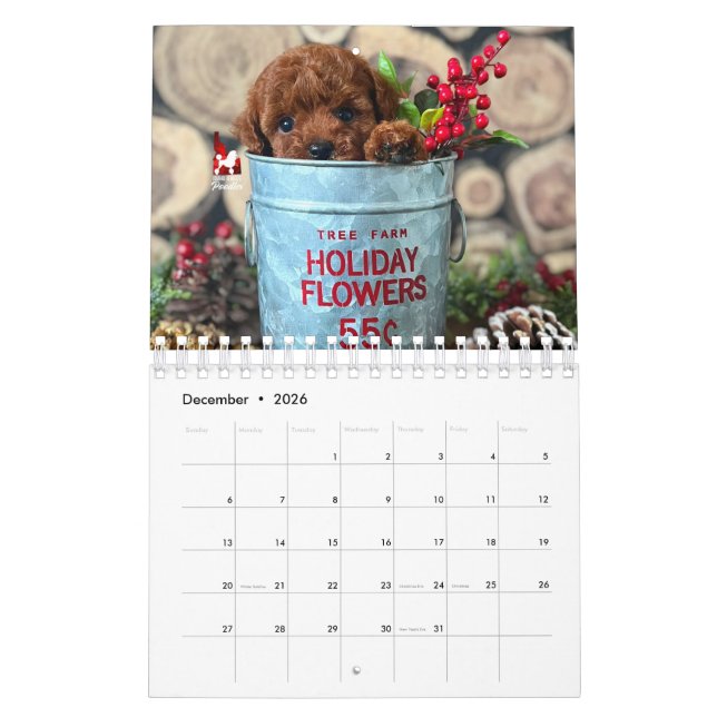 Idaho Jewels Poodles | 2026 Calendar (Dec 2026)