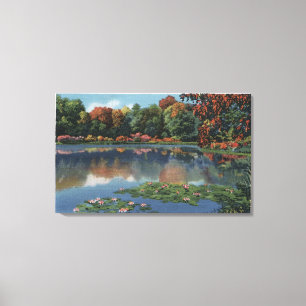 Idaho Lake Scene with Lily PadsIdaho Canvas Print