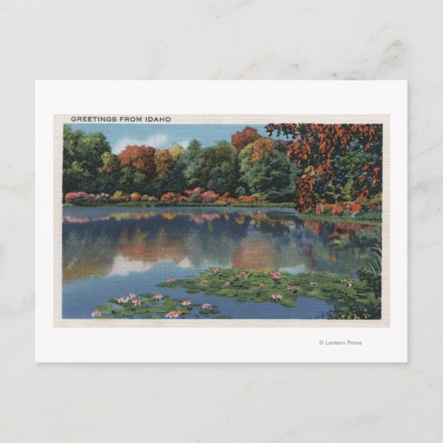 Idaho Lake Scene with Lily PadsIdaho Postcard (Front)