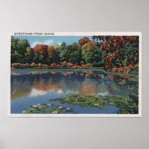 Idaho Lake Scene with Lily PadsIdaho Poster