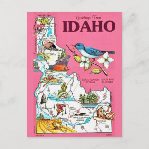 Idaho Map Vintage Pink Postcard