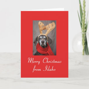 Idaho reindeer pointer merry x-mas holiday card